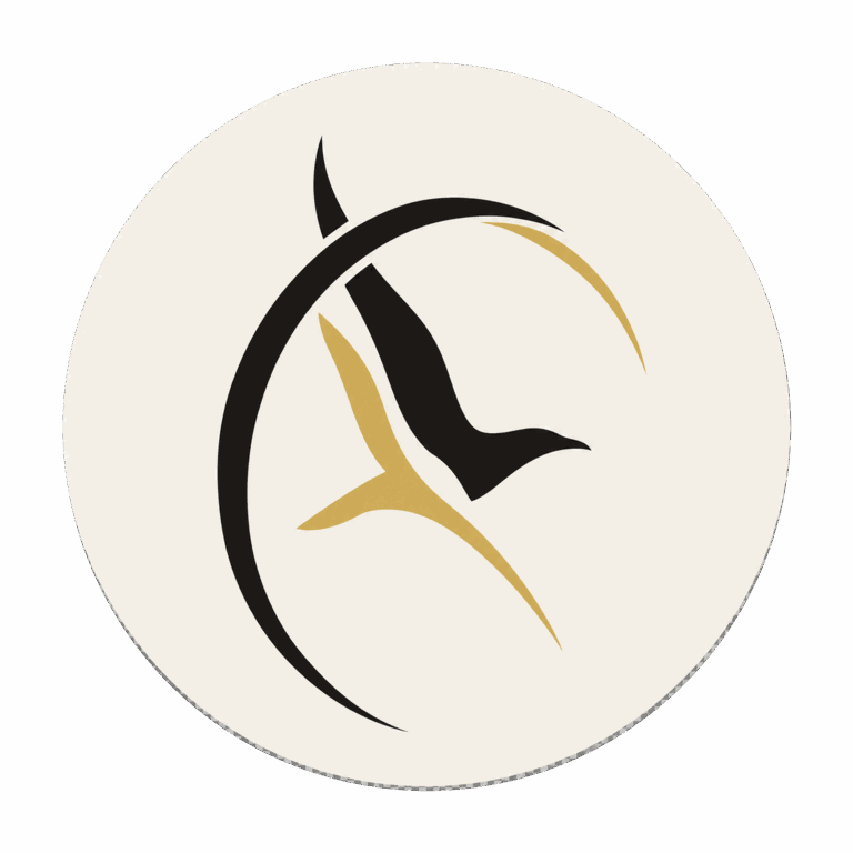 Seagulls / OpenStage team logo